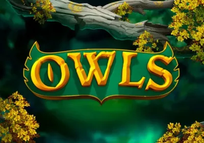 Owls screenshot